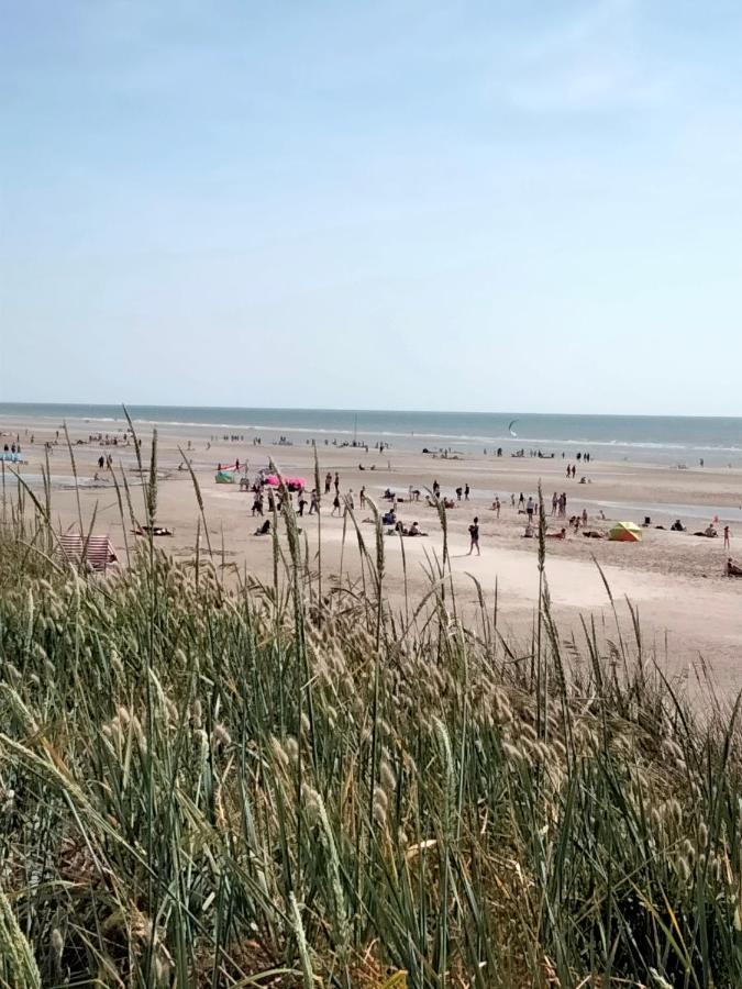 Le Grenier De Mamou Hotell Hesdigneul-les-Boulogne Eksteriør bilde
